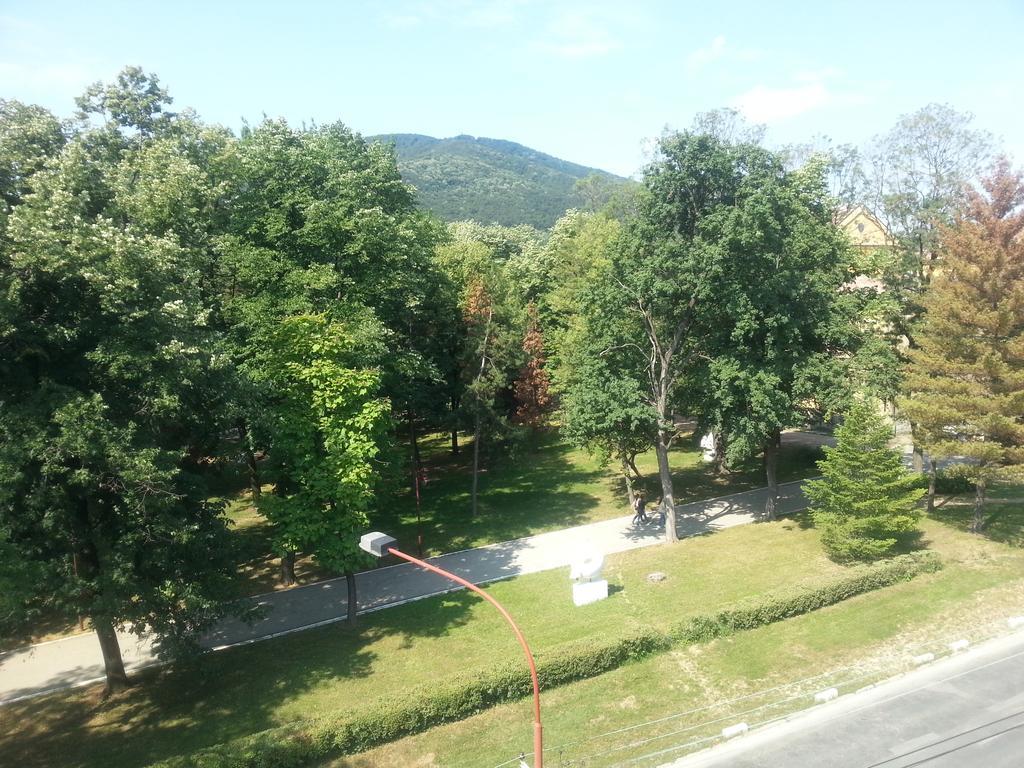 Park Srce Apartments Arandjelovac Bilik gambar